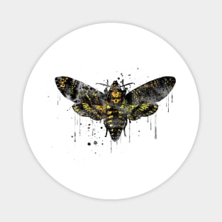 Deaths head hawk moth Magnet